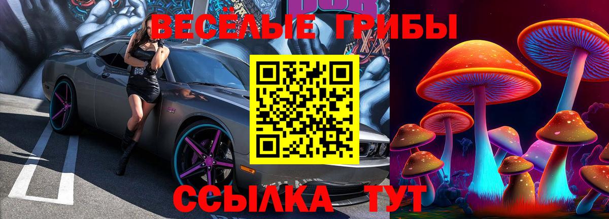 Галлюциногенные грибы GOLDEN TEACHER  купить наркоту  Псилоцибиновые грибы GOLDEN TEACHER  Новочебоксарск  Вход с VPN 